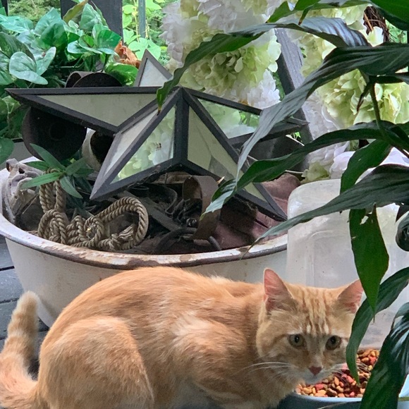 Mike and Kim welcome you to West Virginia Threads - Picture 7 of 16